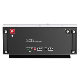 Аккумуляторная батарея Tervix Pro Line LiFePO4 48В 100 Ач 621031