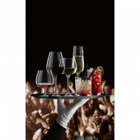 Келих для шампанського Villeroy & Boch Purismo Specials 270 мл скло 11-3781-0070