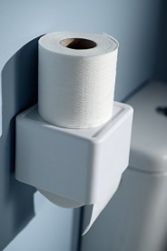 Тримач для туалетного паперу Haceka Yoly закритий пластик білий 1137993