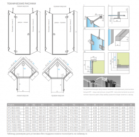 Душевая дверь Radaway Essenza Pro Gold PTJ 63.8х200 см распашная левая золото/прозрачное стекло 10100000-09-01L