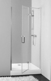 Душевая дверь Terra TV/S 100/K-D 1000x1950 распашная правая профиль серебристый/стекло прозрачное 534792 (527374)