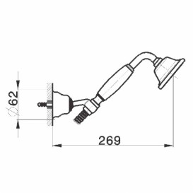 Душевая лейка Devit Charlestone один тип струи латунь золото DS9602702G