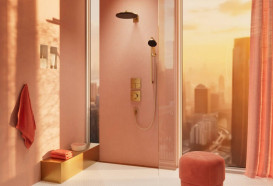 Душова лійка Hansgrohe Raindance Alive Select S 125 3-режимна EcoSmart бронза 24511140