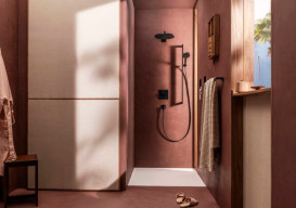 Душевая лейка Hansgrohe Raindance Alive Select S 125 3-режимная EcoSmart черный матовый 24511670