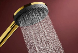 Душевая лейка Hansgrohe Raindance Alive Select S 125 3-режимная EcoSmart золото 24511990