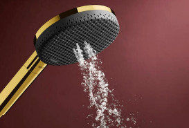 Душевая лейка Hansgrohe Raindance Alive Select S 125 3-режимная EcoSmart+ золото 24512990