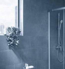 Душевая штанга Roca Stella 70 см хром A5B0205C00