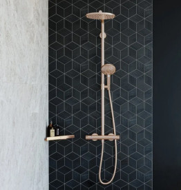 Душевая стойка Hansgrohe Raindance S 240 1jet EcoSmart с термостатом бронза 28823140