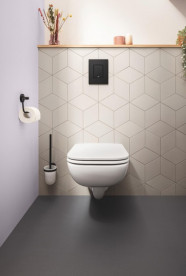 Ершик для унитаза Grohe QuickFix Start стекло/металл черный матовый 411852430