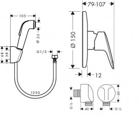 Гигиенический душ со смесителем скрытого монтажа Hansgrohe Logis хром 1112019