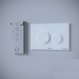 Кнопка смыва для подвесных унитазов TOTO Neorest Luvinist белый E00005T