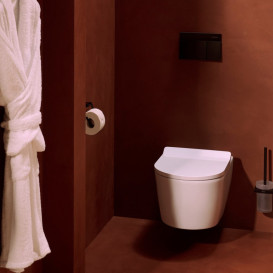 Кнопка змиву для унітазу Hansgrohe iFrame Element E подвійний змив метал чорний матовий 66003670