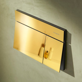 Кнопка змиву для унітазу Hansgrohe iFrame Element E подвійний змив метал золото 66003990