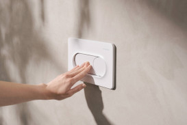 Кнопка смыва для унитаза Hansgrohe iFrame Original S двойной смыв пластик белый матовый 66002700