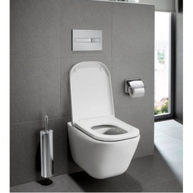 Кнопка змиву для унітазу Roca PL2 подвійний змив пластик матовий хром A890096002