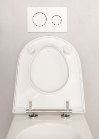 Кнопка смыва Roca PL10 двойной смыв пластик белый мат A890189207