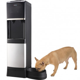 Кулер для води HotFrost V1950 N підлоговий з компресорним охолодженням сріблястий/чорний 120119501