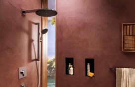 Лейка для верхнего душа Hansgrohe Raindance Alive S 300 1 режим хром 24520000