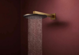 Лійка для верхнього душу Hansgrohe Raindance Alive S 300 1 режим бронза 24520140