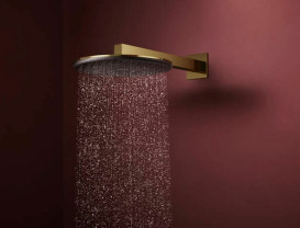 Лейка для верхнего душа Hansgrohe Raindance Alive S 300 1 режим EcoSmart золото 24521990