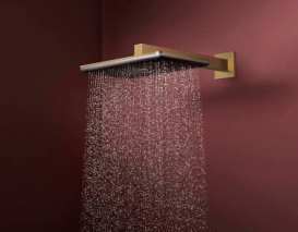 Лійка для верхнього душу Hansgrohe Raindance Alive Q 34х21 см 1 режим бронза 24530140