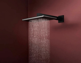 Лейка для верхнего душа Hansgrohe Raindance Alive Q 34х21 см 1 режим черный матовый 24530670