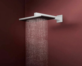Лейка для верхнего душа Hansgrohe Raindance Alive Q 34х21 см 1 режим белый матовый 24530700