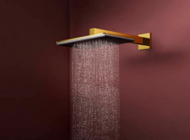 Лейка для верхнего душа Hansgrohe Raindance Alive Q 34х21 см 1 режим золото 24530990