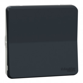 Механізм вимикача Schneider Electric Mureva Styl схема 6 IP55 антрацит MUR37021