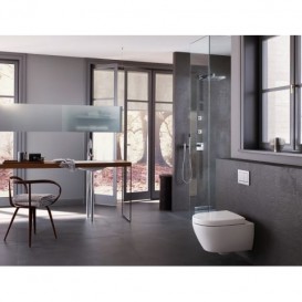 Панель змиву для унітазу Geberit Omega30 подвійний змив пластик хром глянсовий / хром матовий 115.080.KH.1