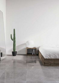 Плитка керамогранит Nowa Gala Silver Grey Light Grey poler 59,7х29,7 см 5900423036615