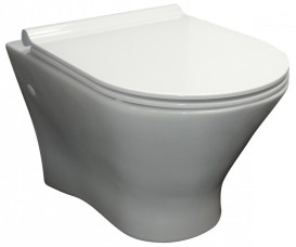 Сиденье с крышкой для унитаза Roca Nexo Slim slow closing дюропласт белый A801C4200U