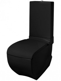 Сиденье с крышкой для унитаза ArtCeram Hi-Line черный глянцевый/золото HIA001 03;73