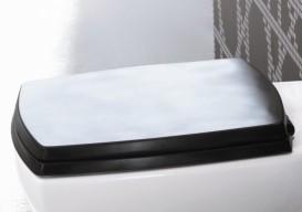 Сиденье с крышкой для унитаза ArtCeram JAZZ чёрный глянцевый/золото JZA006 03;73