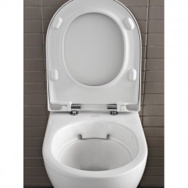 Сиденье с крышкой для унитаза Geberit Acanto быстросьемное дюропласт белый 500.605.01.2