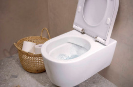 Сиденье с крышкой для унитаза Hansgrohe EluPura S Soft-Close дюропласт белый 60197450