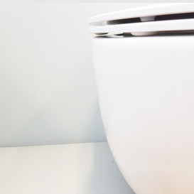 Сиденье с крышкой для унитаза Hatria Nido с функцией быстрого снятия и плавного закрывания белый 01YXWW01