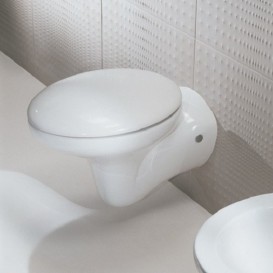 Сиденье с крышкой для унитаза Hatria Sculture2 soft-close дюропласт белый Y0Q1