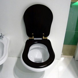 Сиденье с крышкой для унитаза Kerasan Retro черный петли золото 109104