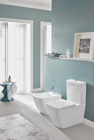Смеситель для биде Villeroy & Boch Dawn однорычажный хром TVB10620115061