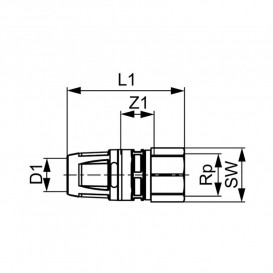 Соединение прямое Tece  TECElogo с внутренней резьбой 50хRp 2 латунь 8610009