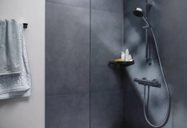 Термостат для душа Hansgrohe Ecostat Element двухвентильный хром 13346000