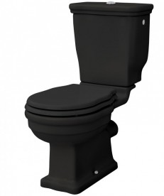 Чаша унитаза-моноблок ArtCeram Hermitage 36х71 см чёрный глянцевый HEV004 03;00