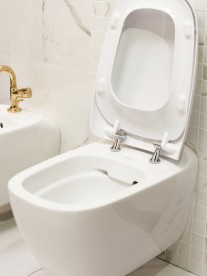 Унітаз підвісний Geberit Geberit Citterio Rimfree воронкоподібний закрита форма санфарфор білий KeraTect 500.510.01.1