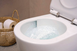 Унитаз подвесной Hansgrohe EluPura S 36х54 см с крышкой керамика HygieneEffect белый 62025450