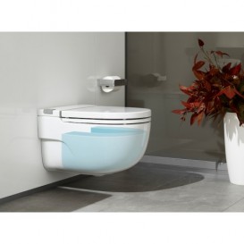 Унитаз подвесной Roca Meridian In-Tank с интегрированным в чашу бачком крышкой с сиденьем и монтажной рамой I-типа A893302000