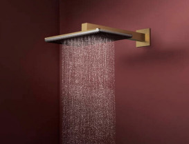 Верхний душ Hansgrohe Raindance Alive Q 34х21 см 2 режима с держателем бронза 24550140