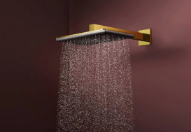 Верхний душ Hansgrohe Raindance Alive Q 34х21 см 2 режима EcoSmart с держателем золото 24551990