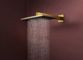 Верхний душ Hansgrohe Raindance Alive Q 34х21 см 2 режима EcoSmart с держателем золото 24551990