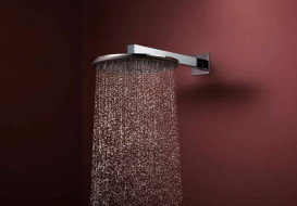 Верхний душ Hansgrohe Raindance Alive S 300 2 режима с держателем хром 24540000